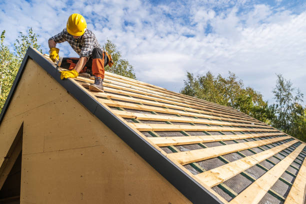 Best Roof Maintenance Services  in Bellville, OH